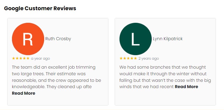 Google Reviews