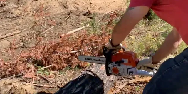 tree-trimming-service-640w