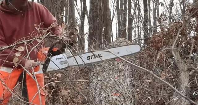 tree+trimming+services+kansas